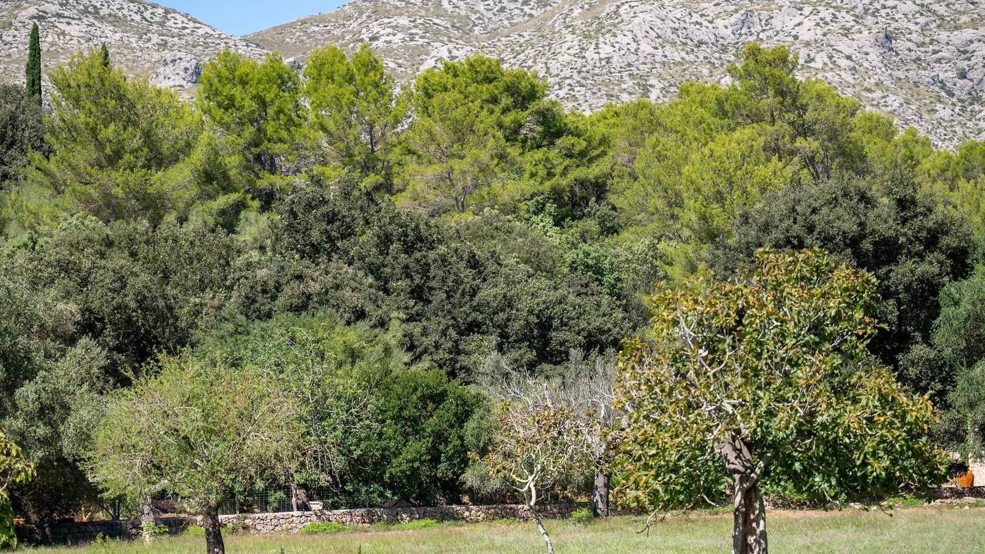 بيت للعطل Finca Tirana بويينسا